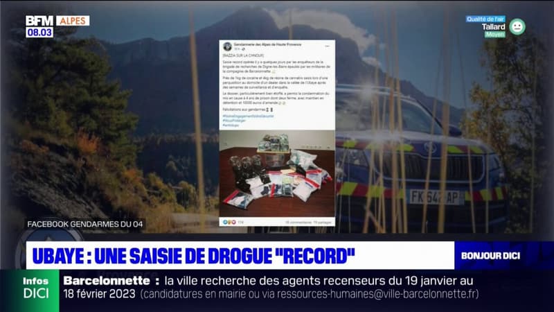 Vallée de l'Ubaye: saisie de drogue "record "pour les gendarmes