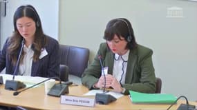 Les modérateurs de Tiktok devant les députés