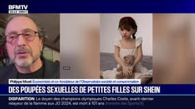 Poupées sexuelles de petites filles sur Shein: Philippe Moati, économiste, explique le fonctionnement de la plateforme et dénonce des manquements "dans le contrôle de ce qui est mis sur le marché" du site