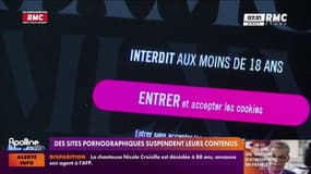 Loi sur la vérification d’âge : Aylo bloque ses sites pornographiques en France