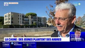 Cagnes-sur-Mer: des jeunes plantent des arbres