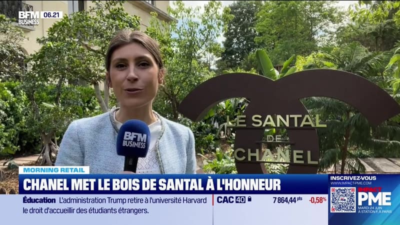 Morning Retail : Chanel met le bois de santal à l'honneur, par Eva Jacquot - 23/05