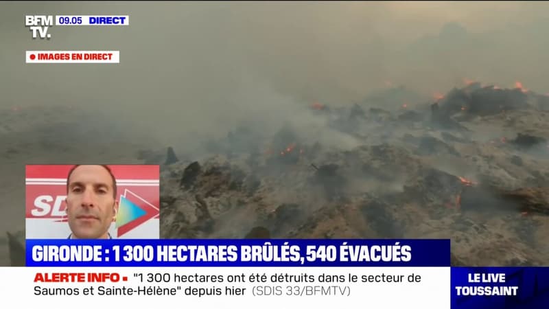 Incendie dans le Médoc: plus de 300 pompiers, un dash, deux canadairs et des hélicoptères bombardiers sont mobilisés