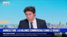 Agriculture: la balance commerciale dans le rouge en France