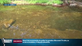 "Je ramasse les morts du matin jusqu'au soir", avec la canicule, les pertes de poissons sont très importantes