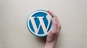 Le logo Wordpress