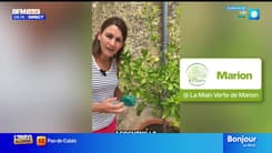 Jardinage & Flûte enchantée - La météo de Colas du mardi 30 septembre 2025 