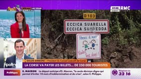 La Corse va payer les billets... de 250.000 touristes