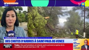 Saint-Paul-de-Vence: la RD2 de nouveau ouverte après des chutes d'arbres