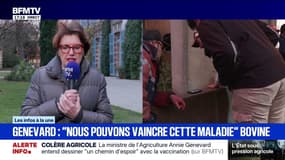 Dermatose nodulaire contagieuse: Annie Genevard, ministre de l’Agriculture, explique que “généralement lorsqu’il y a un cas visible, il y en a d’autres autour”
