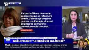 Story 3 : Gisèle Pelicot, "le procès de la lâcheté" - 19/11