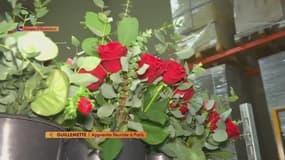 Une ancienne fleuriste alerte sur le danger des pesticides 