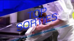 Top Sorties du vendredi 20 décembre - Balades de Noël en attelage au haras du Pin