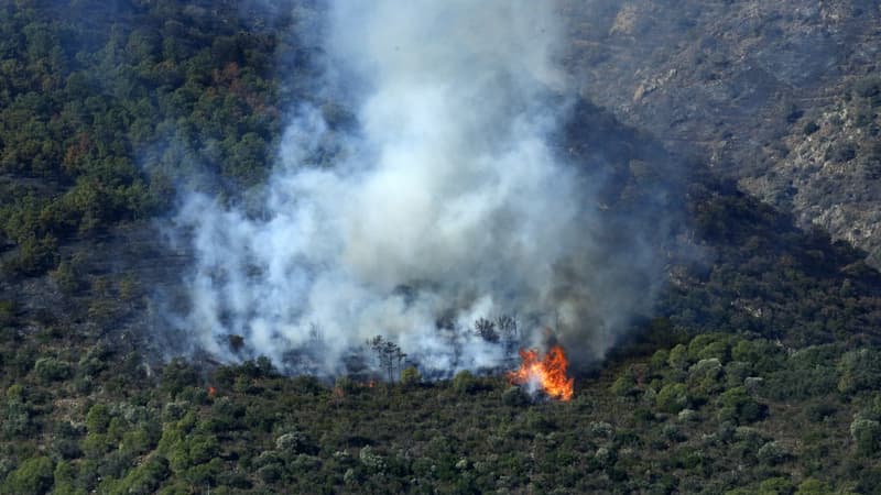 Un incendie à proximité de Portbou, commune espagnole frontalière de la France, le 5 août 2023