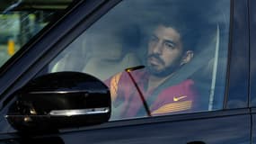 Suarez