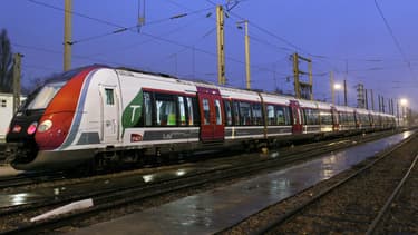 Plusieurs lignes de train sont perturbées par des chutes d'arbres en Ile-de-France.