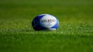 Une illustration d'un ballon de rugby   