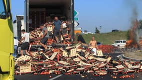 Des agriculteurs mettent le feu à une cargaison de fruits espagnols près de Perpignan