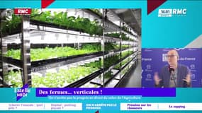 On n'arrête pas le progrès : Des fermes... verticales ! - 26/02