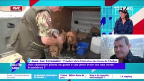 Huit chasseurs placés en garde à vue pour avoir tué une ourse : scandaleux ? - 03/06
