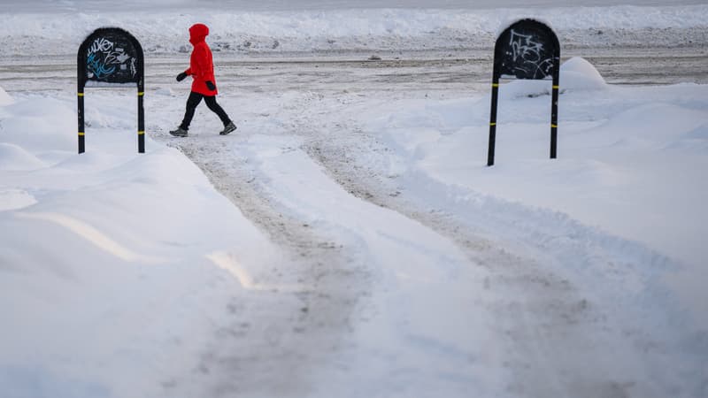 Plus de 51°C en seulement 4 jours: la Suède enregistre des écarts de températures extrêmes