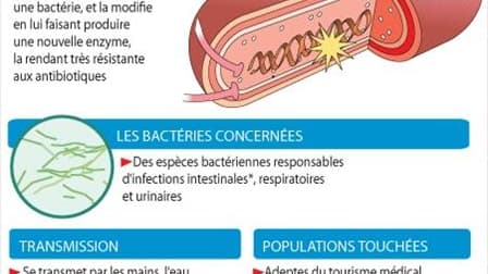 LA BACTÉRIE NDM-1