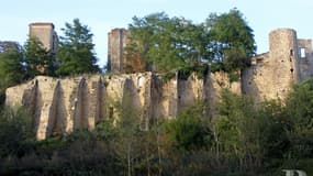 Les ruines du chateau de Montbrun en vente