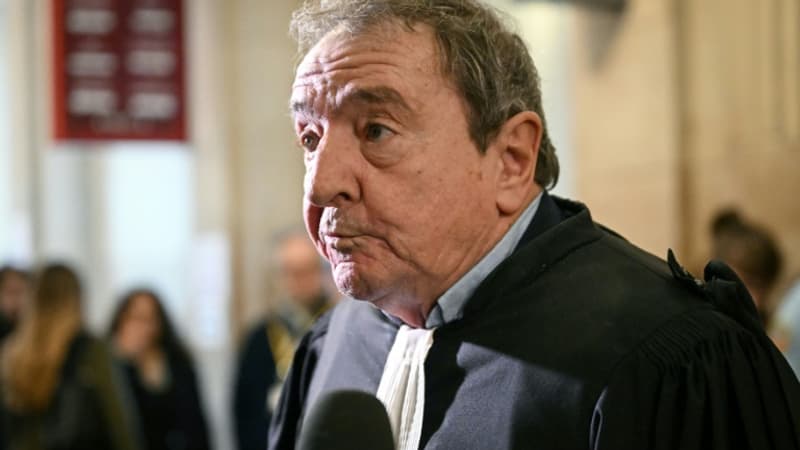 DIRECT. Procès en appel du RN: l'avocat du Parlement européen dénonce une "stigmatisation" des juges après la décision de première instance