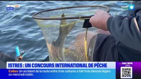 Istres : un concours international de pêche 