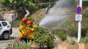 Des réservistes du comité communal Feux de forêt d'Antibes en plein exercice à l'approche de l'été. 