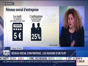 Happy Boulot: Réseau social d'entreprise, les raisons d'un flop - 28/11