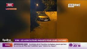 Dépression Kirk: les agriculteurs inquiets pour leurs cultures 