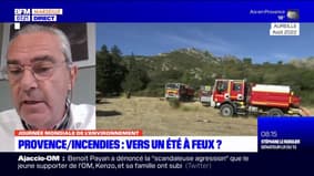 Incendies dans les Bouches-du-Rhône: le président du parc des Alpilles demande plus de moyens