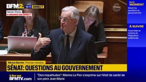 "Les agriculteurs ont raison": Michel Barnier veut regarder "une par une" les normes européennes