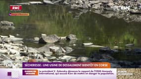 Sécheresse : bientôt une usine de dessalement en Corse