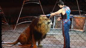 Un numéro de cirque aux Etats-Unis.