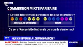 LES ÉCLAIREURS - Loi immigration: quels scénarios possibles?