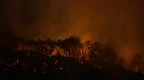 L'incendie dans le massif de la Chartreuse, en Isère, dans la nuit de dimanche 7 à lundi 8 août.