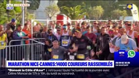 Marathon des Alpes-Maritimes: 14.000 coureurs rassemblés