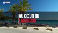 Au Cœur du Lavandou