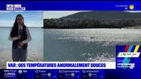 23,7°C relevés à Toulon: des records de température pour janvier battus dans le Var
