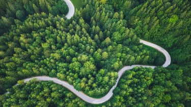 Finance durable : le mouvement tectonique qui transforme l’investissement