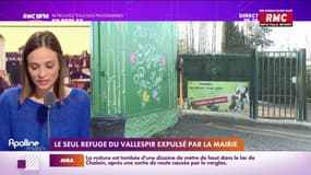 Le refuge animalier du Vallespir est invité à quitter les lieux par la nouvelle mairie