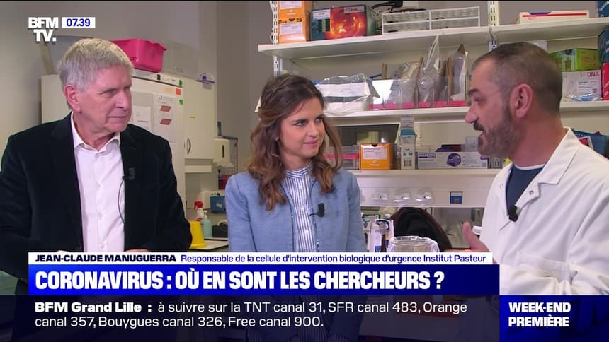 Coronavirus Ou En Sont Les Chercheurs 02 02