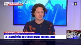 Top sorties: l'émission du 5/03 avec Marie-Amélie Senot, attachée de conservation au Lam