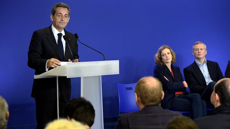 Nicolas Sarkozy s'exprime devant les nouveaux adhérents de l'UMP au siège du parti, samedi 17 janvier 2015.