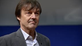 Nicolas Hulot, le 10 décembre 2015.