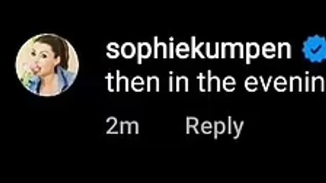 Le commentaire de la mère de Verstappen sur Instagram Le commentaire de la mère de Verstappen sur Instagram