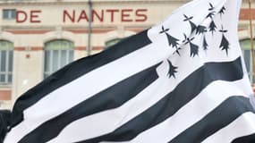 Image d'illustration - Rassemblement de 2010 à Nantes pour une Loire-Atlantique bretonne