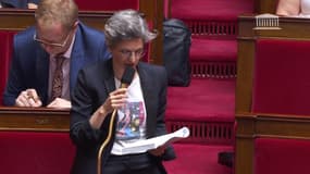 Variole du singe: Sandrine Rousseau demande une sanction pour "homophobie manifeste" à l'encontre d'Aurélien Pradié